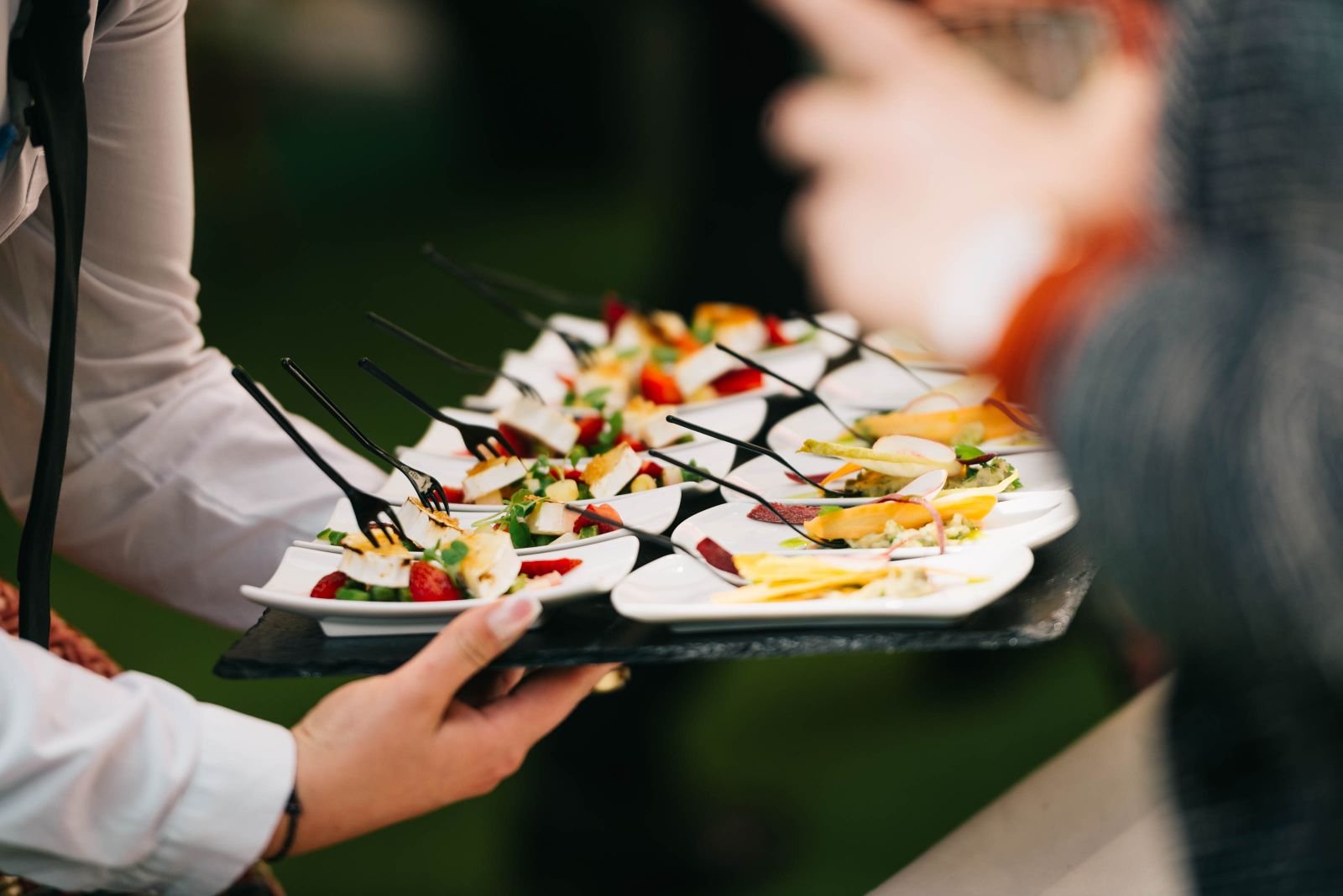 Catering service supplied in volume with moulded plant-fibre tableware