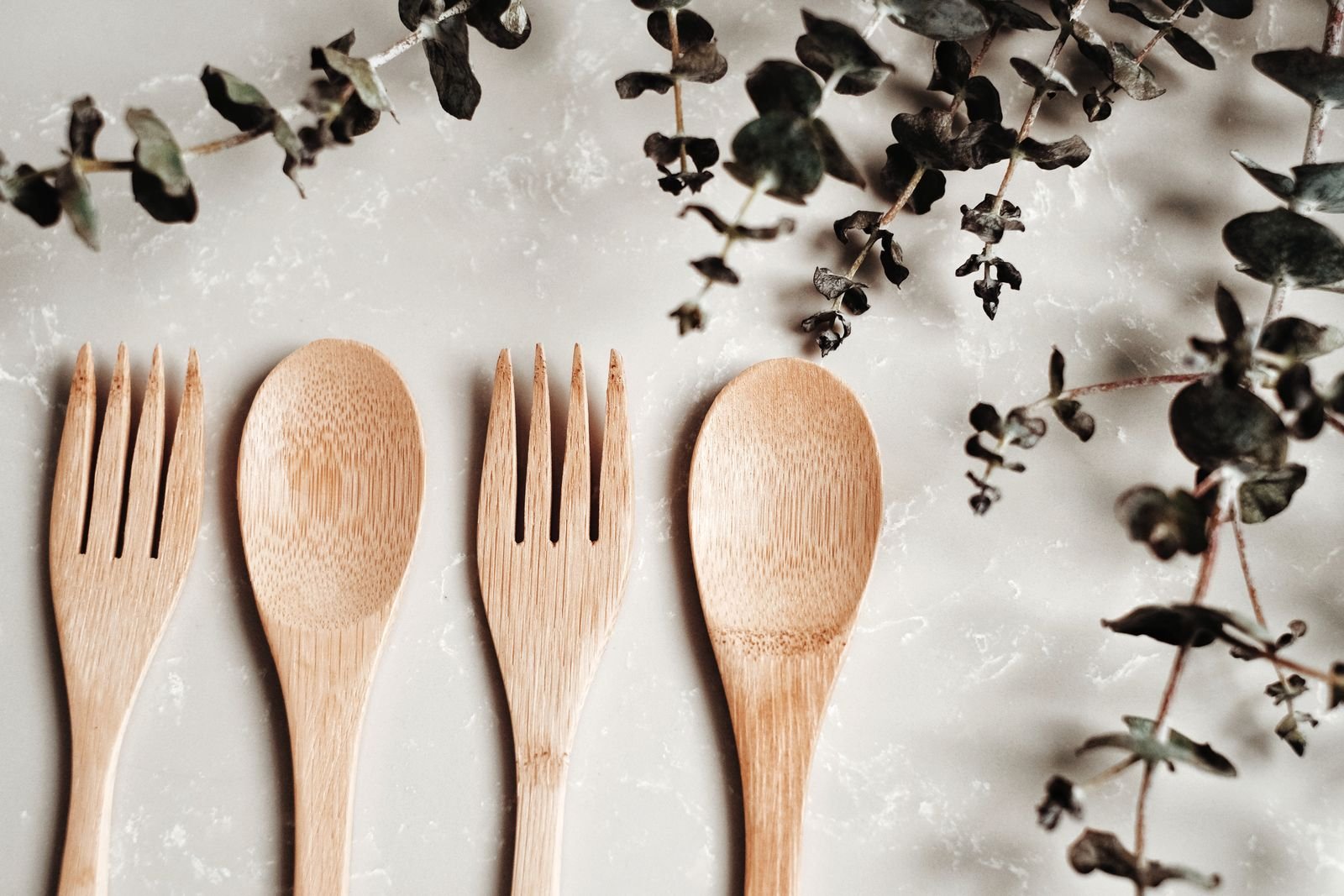 Plant-fibre cutlery series compared with bamboo, palm leaf and PLA alternatives