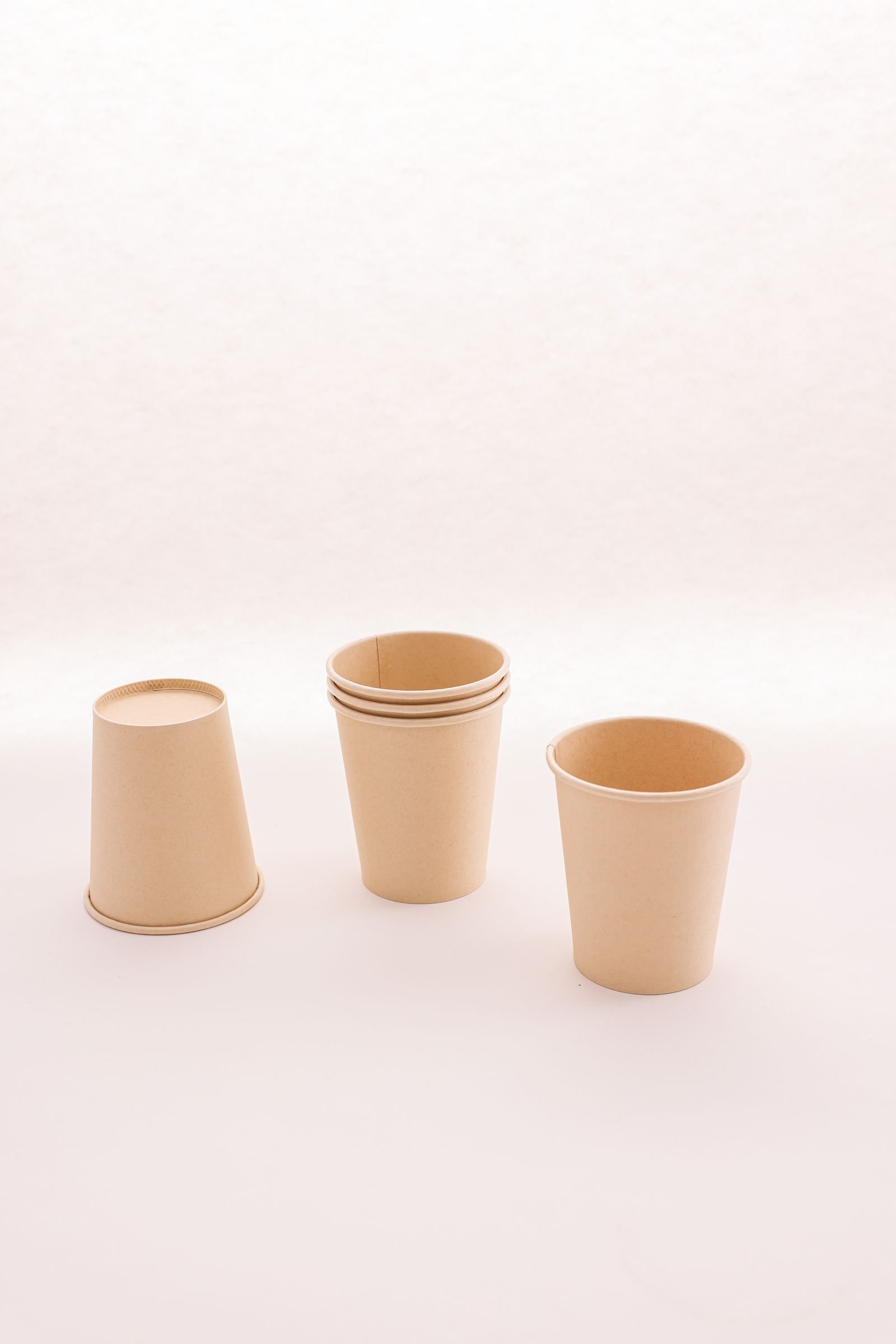 Moulded bagasse cups evaluated as samples before a bulk order